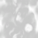 petfenroar_base_emote_base_einstein_01_mult.litt..>