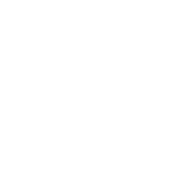 slime_pushcart_base_w_cas_ready_shieldon.png