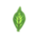 tft5_lulu_base_e_leaf_06.png